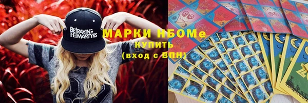 гашик Новодвинск