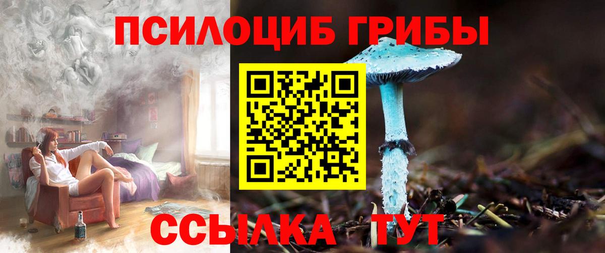 Псилоцибиновые грибы ЛСД  Ахтубинск 