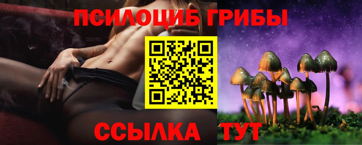 Псилоцибиновые грибы Psilocybe Ахтубинск