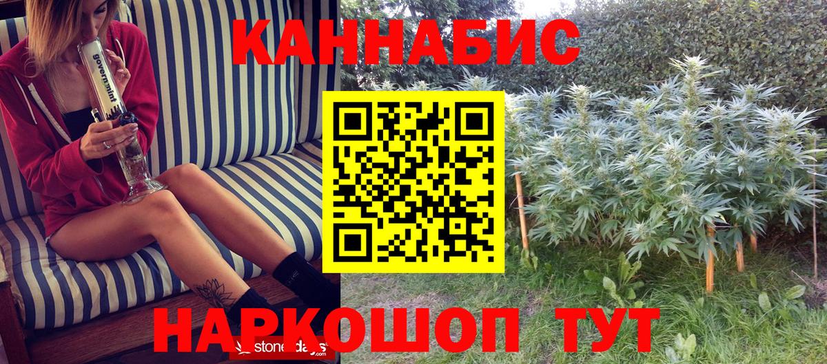 Бошки Шишки конопля  МАРИХУАНА тримм  Бошки марихуана сатива  Ахтубинск  Марихуана тримм 